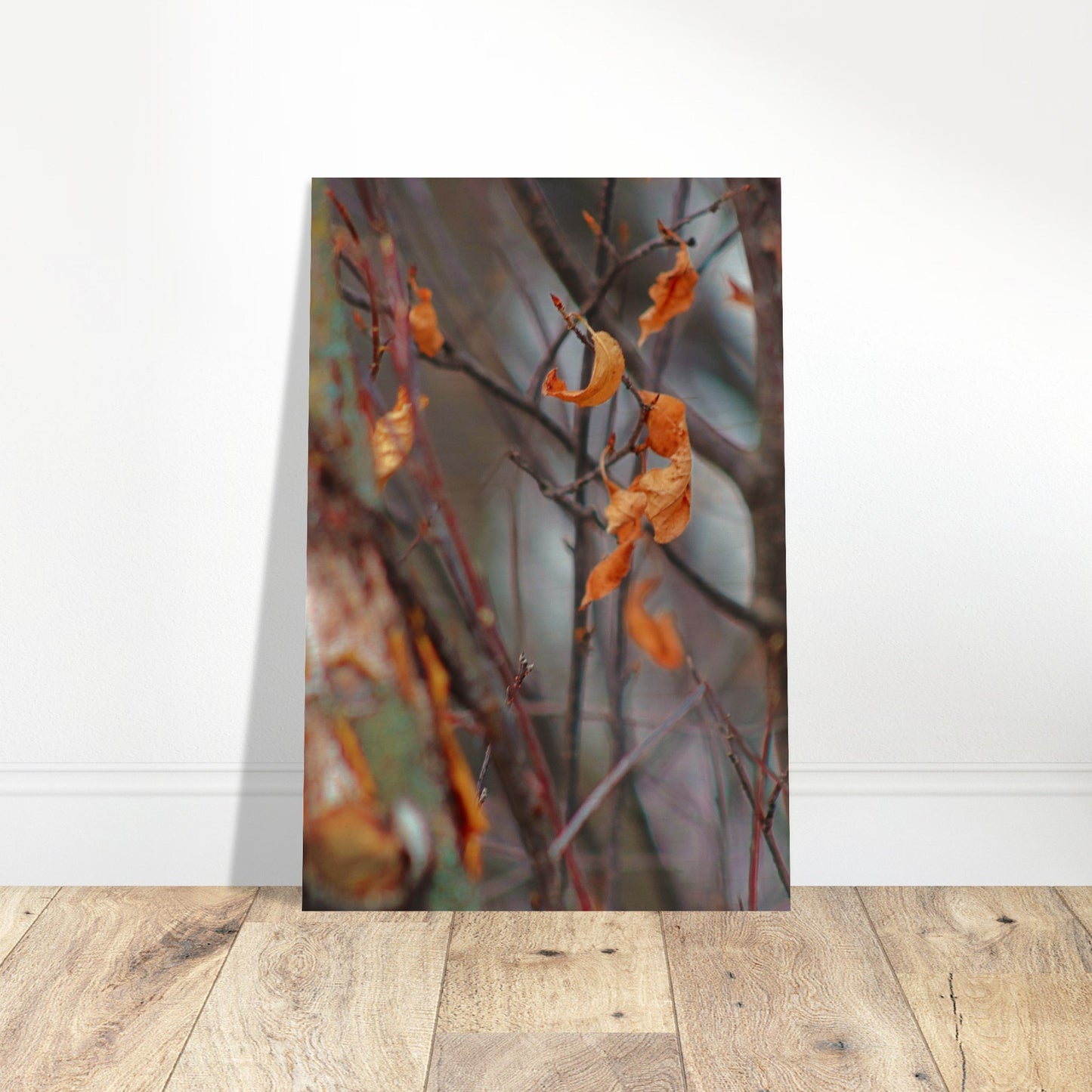 Floating Leaves - Wood Prints