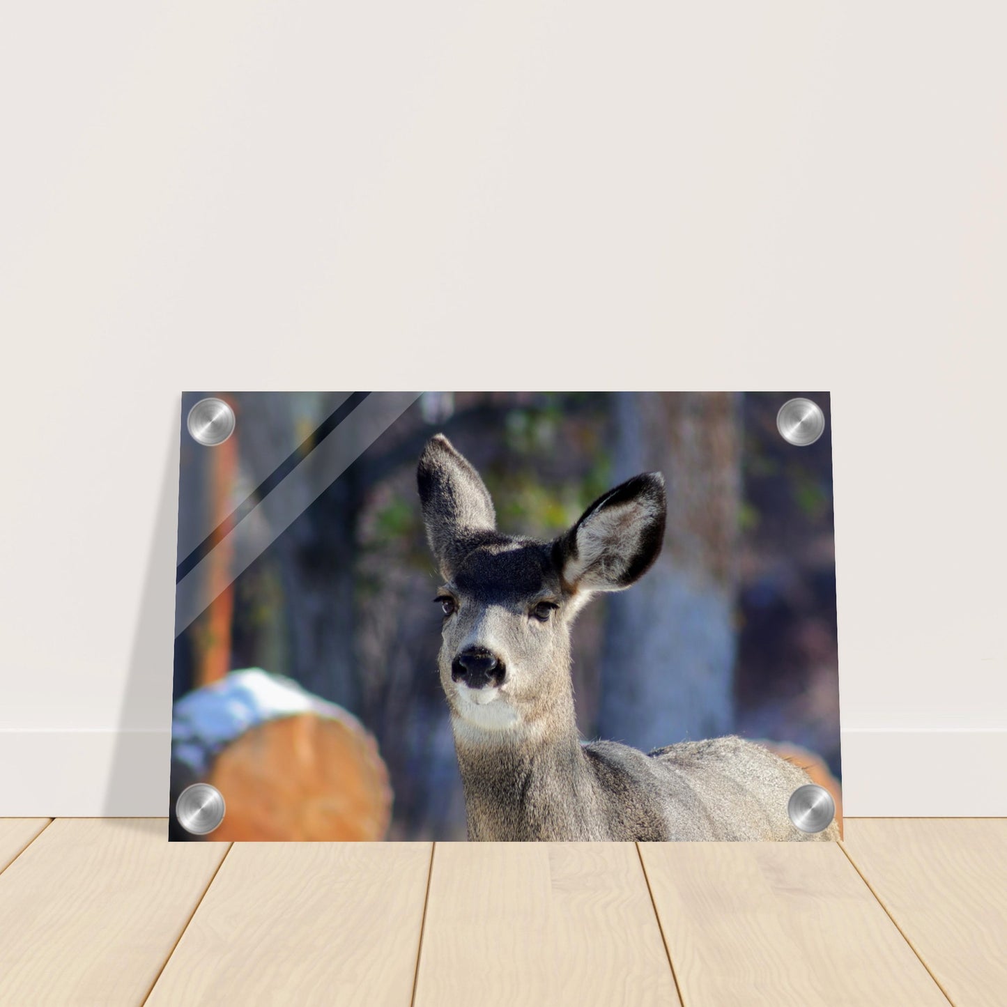 Deer - Acrylic Print