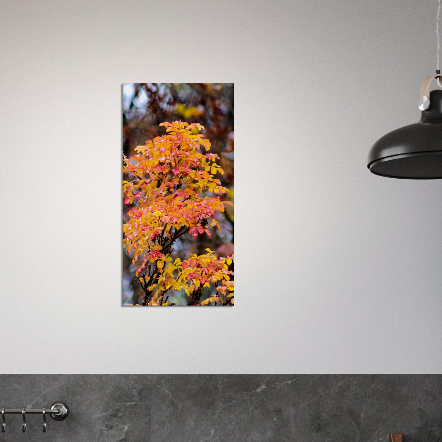 Fall Colors - Canvas