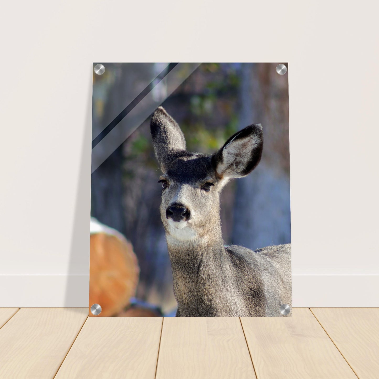 Deer - Acrylic Print