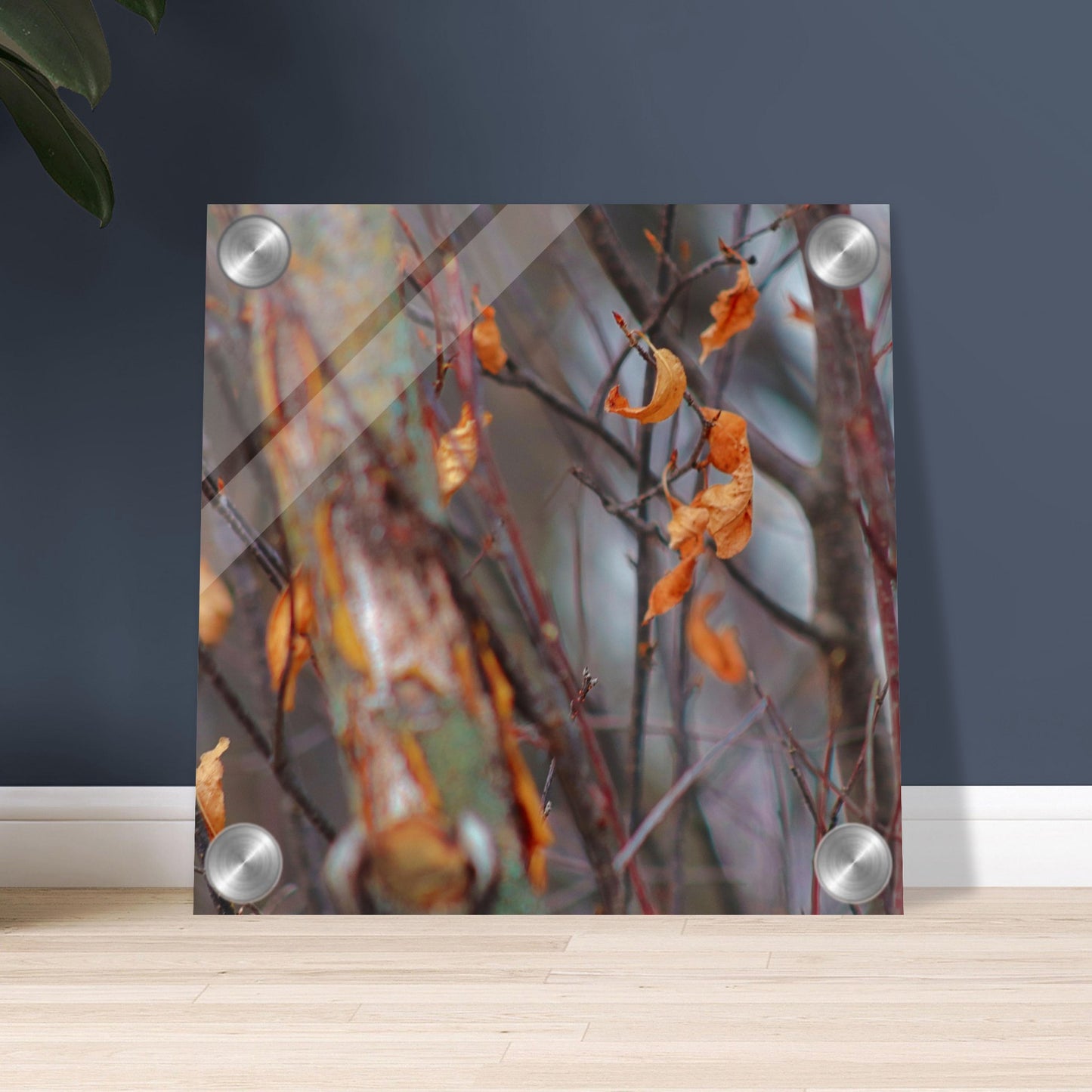 Floating Leaves - Acrylic Print