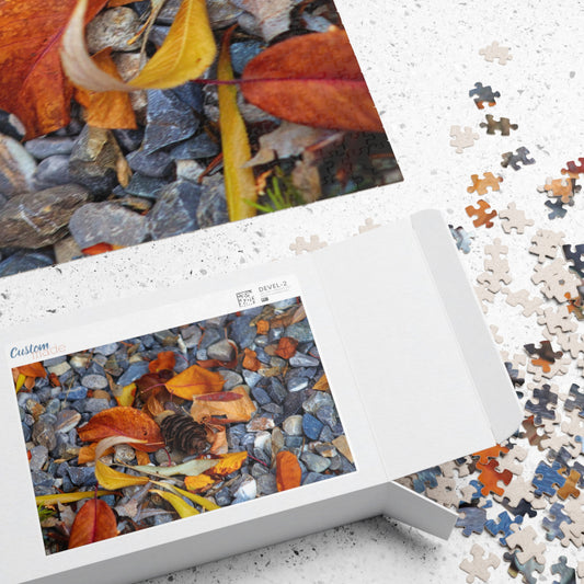 Leaves On Rocks - Puzzle