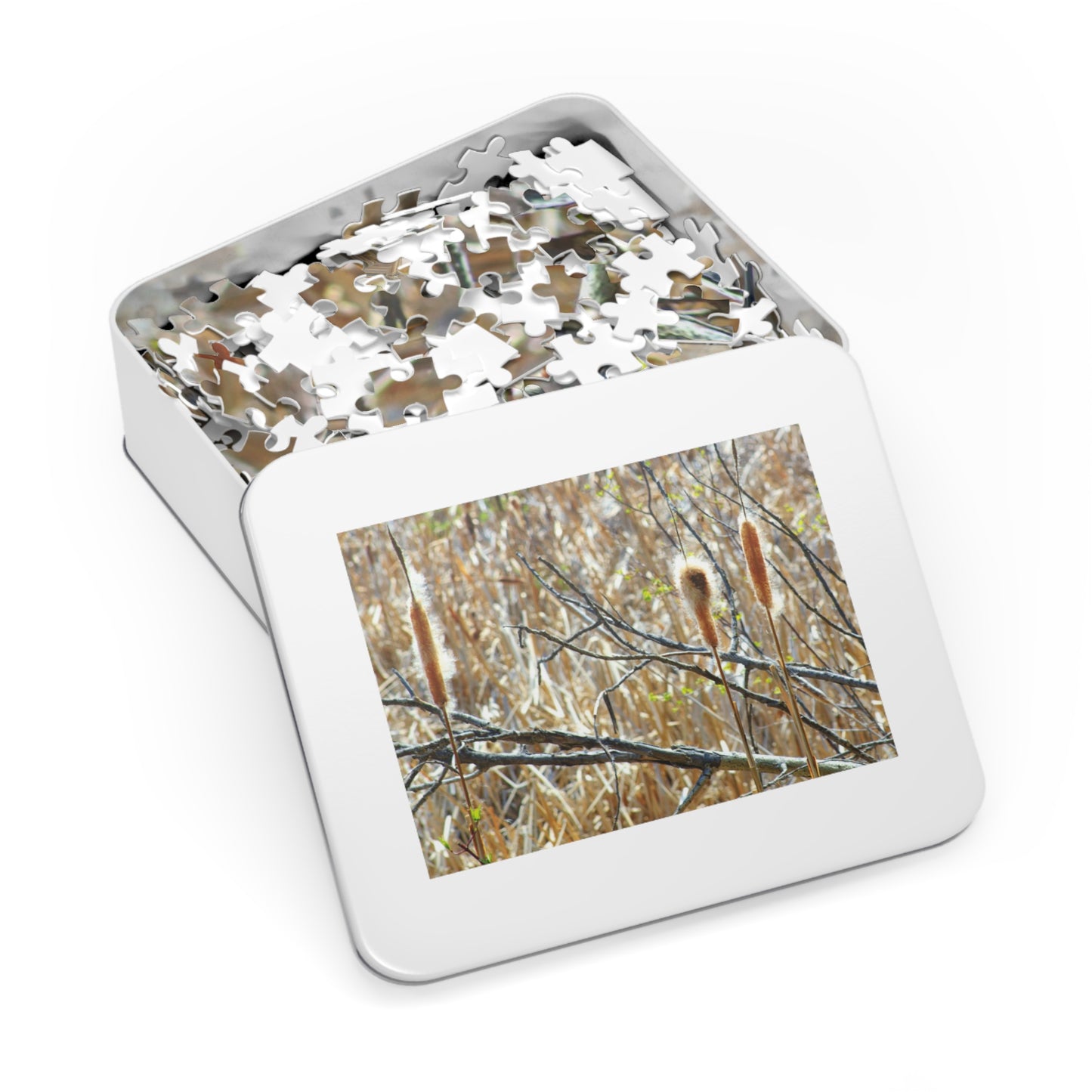 Wetlands - Puzzle