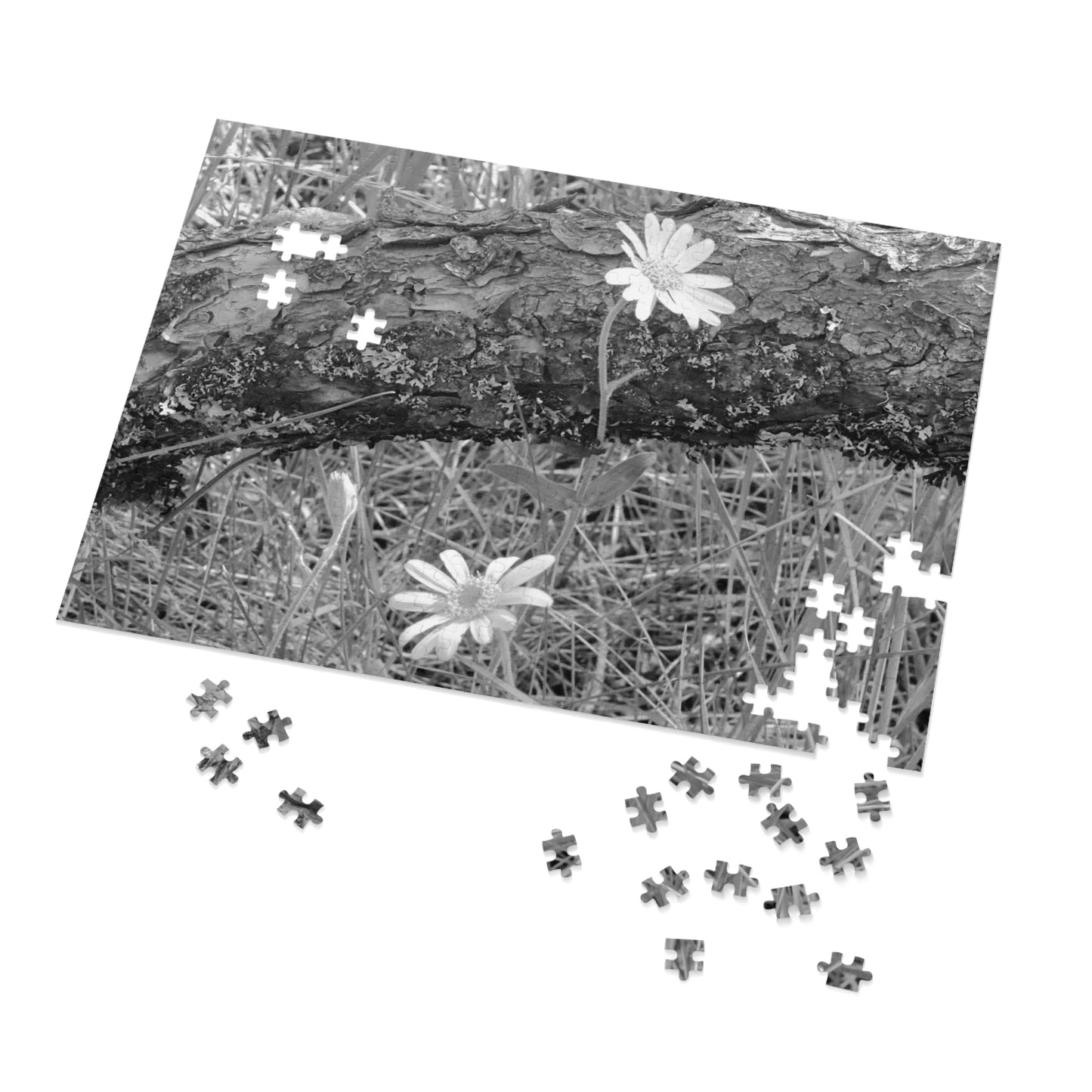 Wildflowers - Puzzle