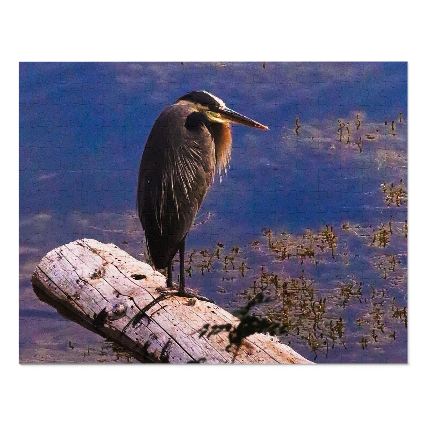 Heron - Puzzle