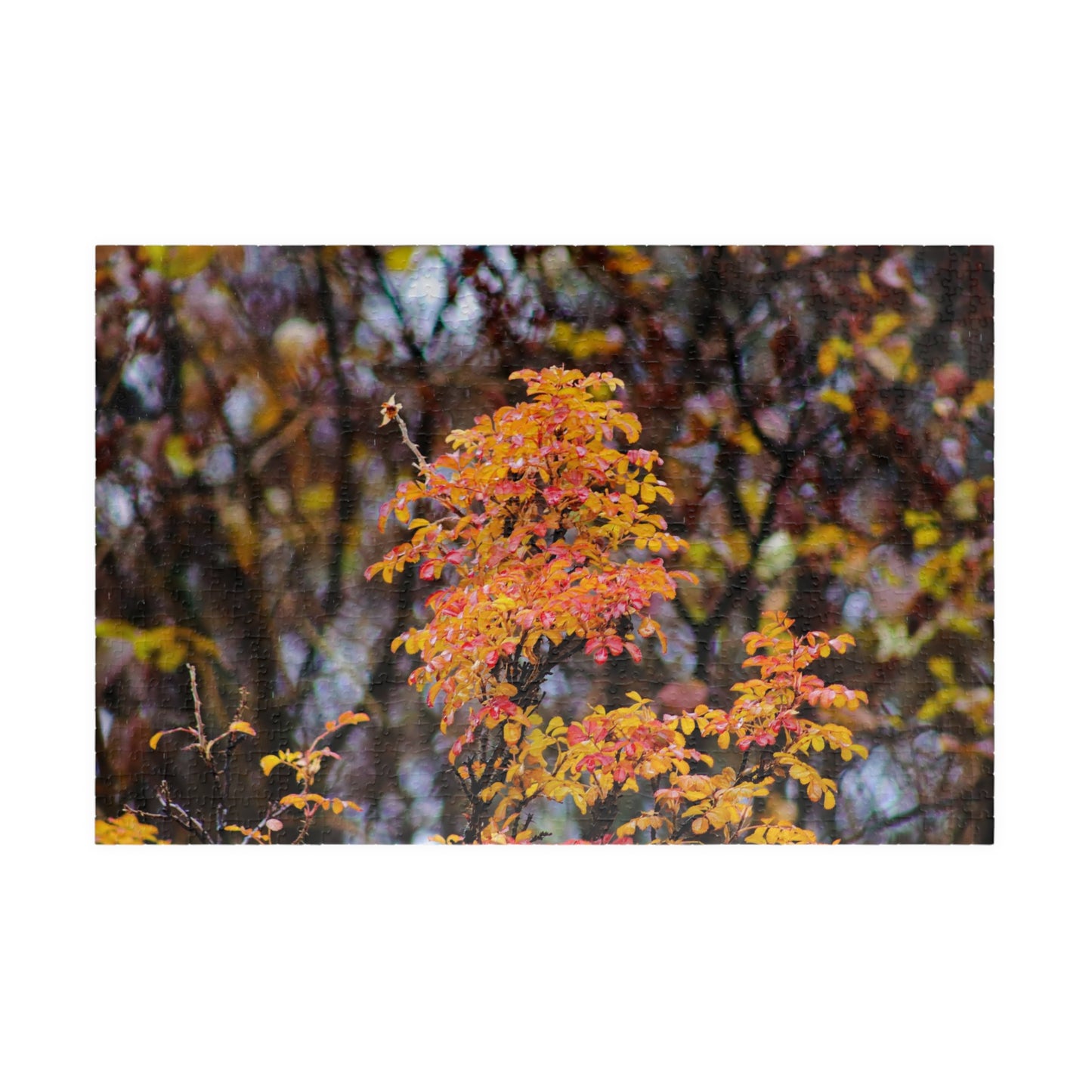 Fall Colors - Puzzle