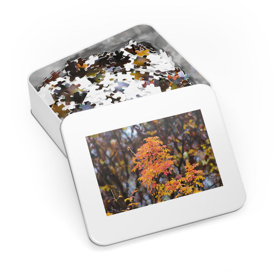 Fall Colors - Puzzle