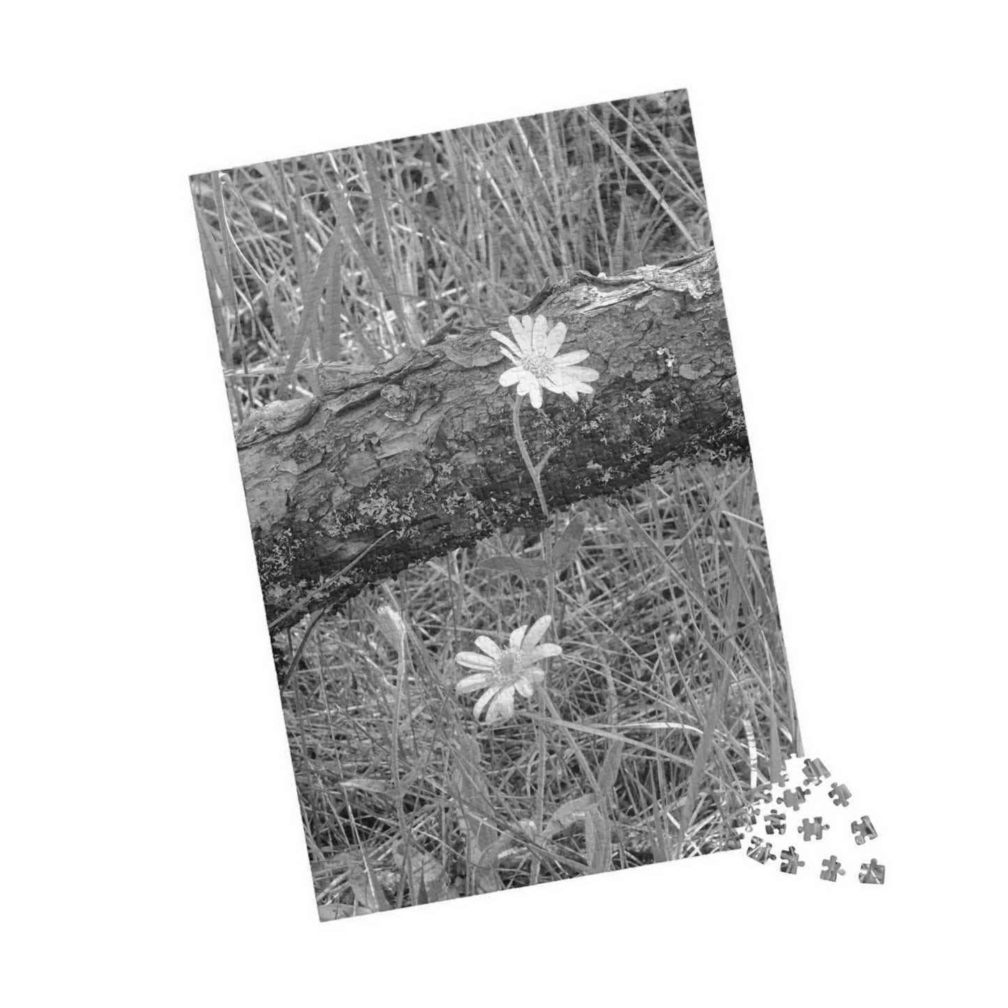 Wildflowers - Puzzle