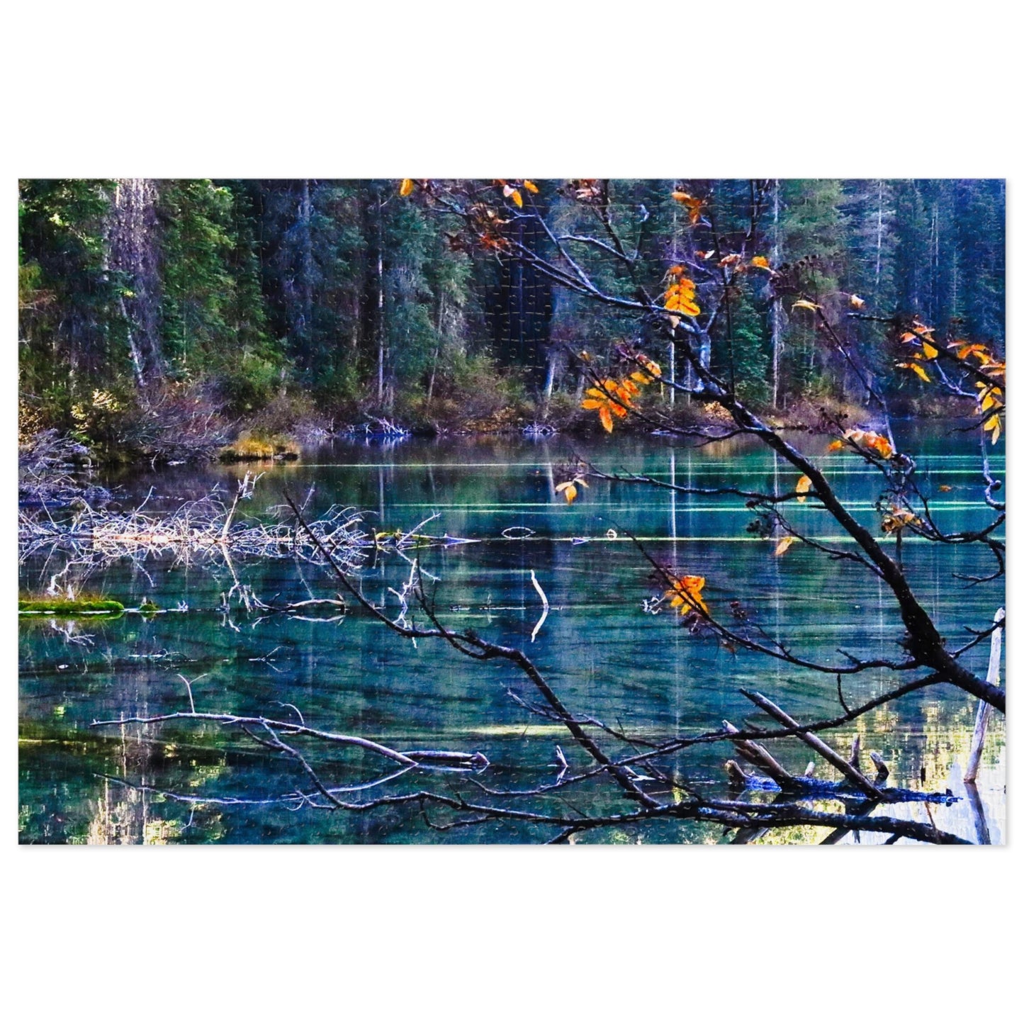 Olive Lake BC - Puzzle