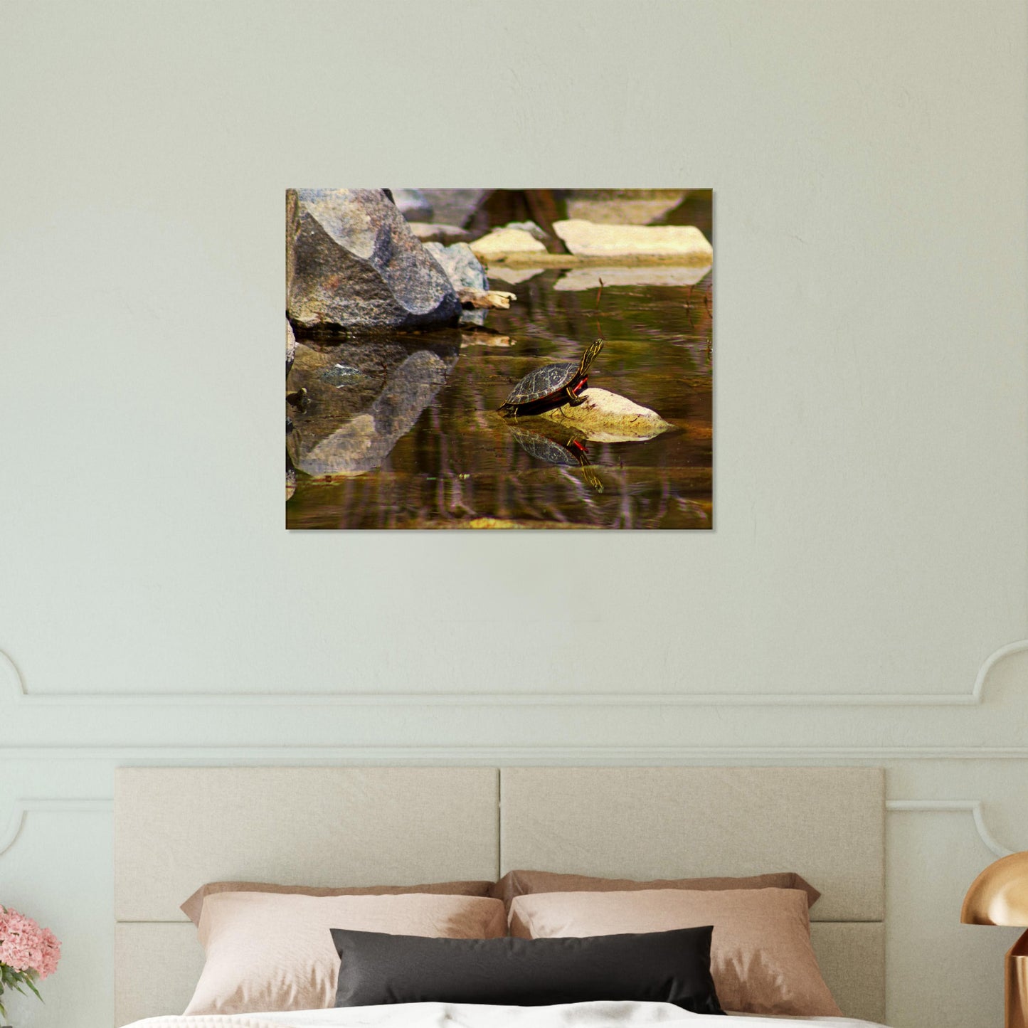 Turtle - Canvas