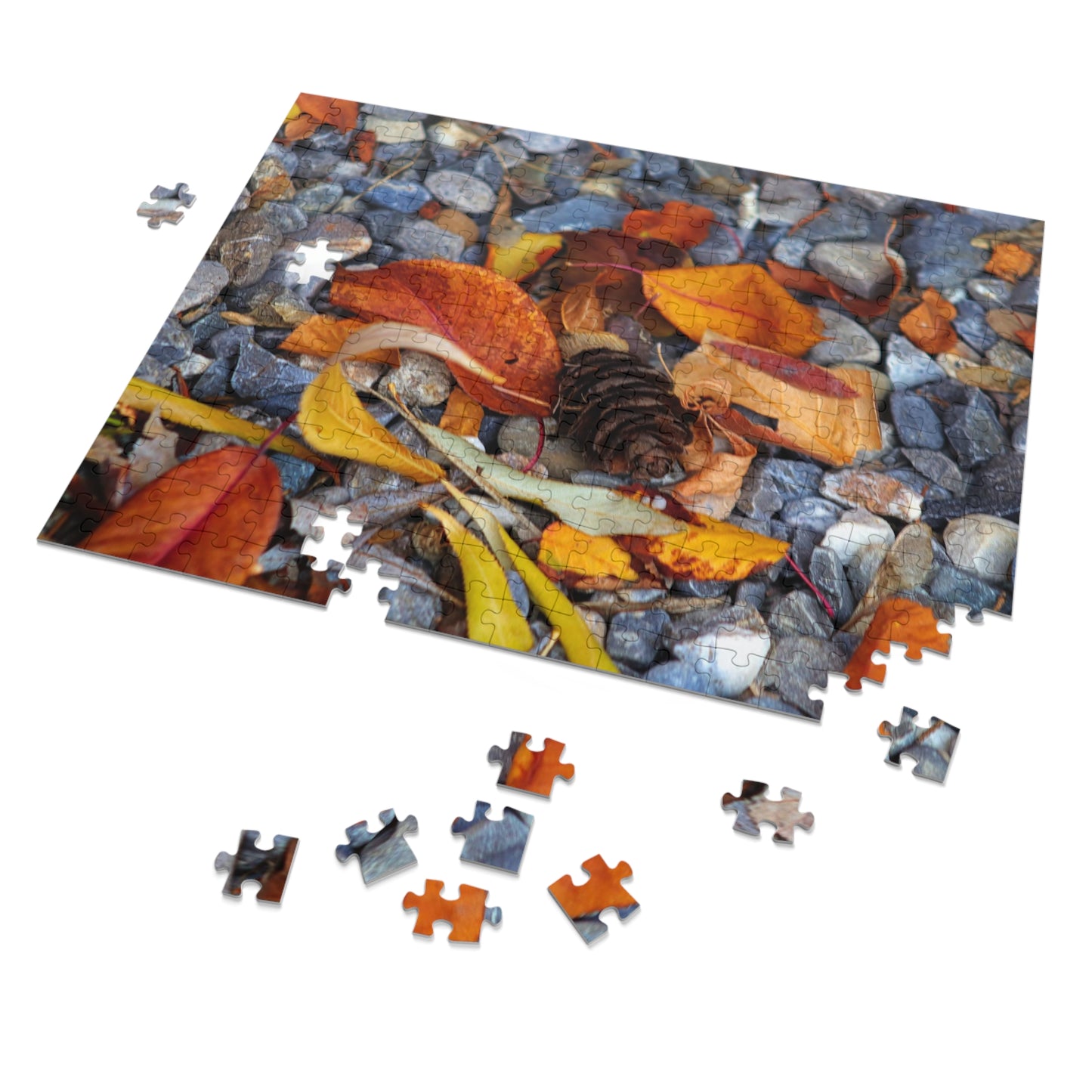 Leaves On Rocks - Puzzle