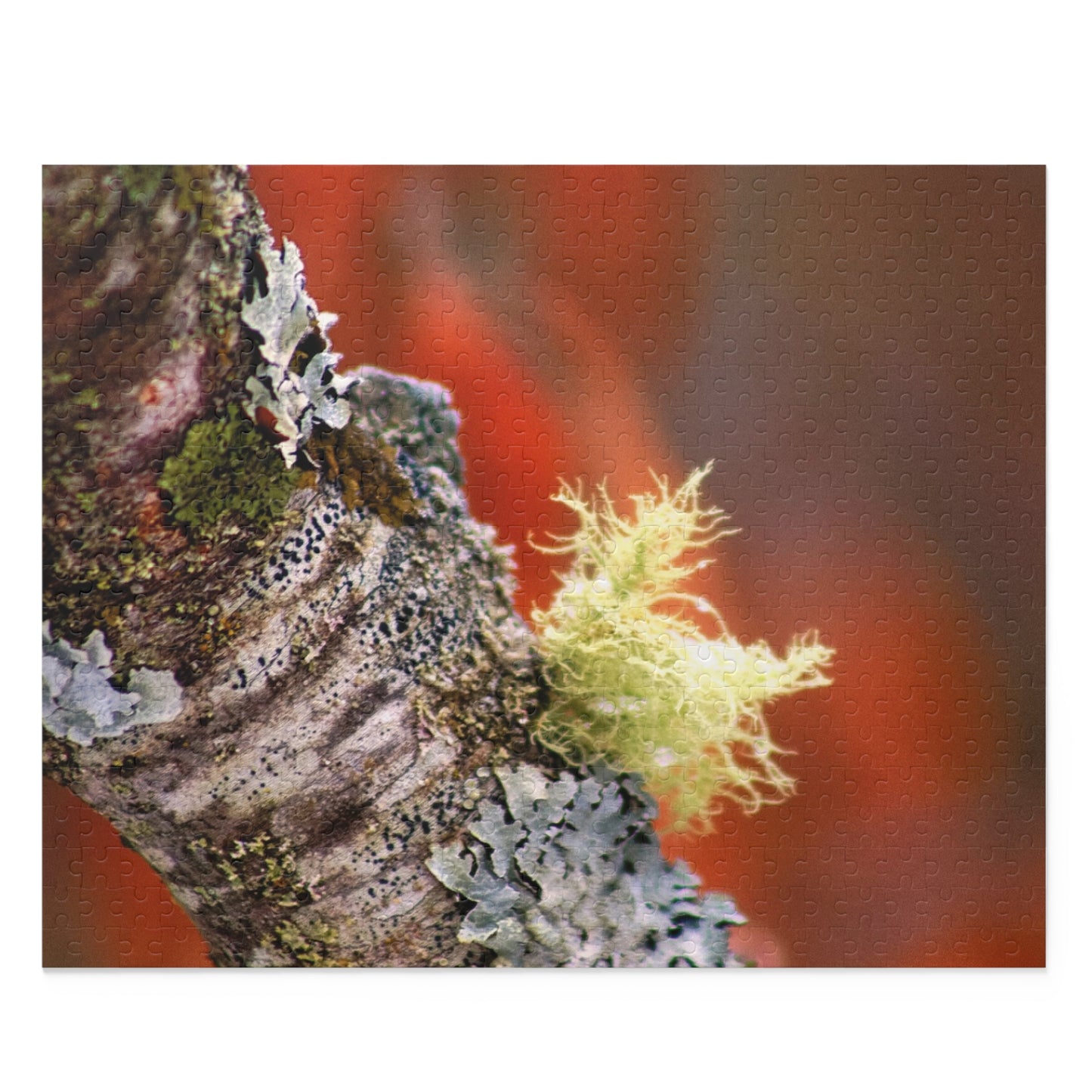 Moss On Branch - Puzzle