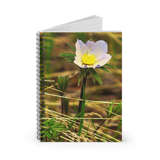 Spider On Flower - Spiral Notebook