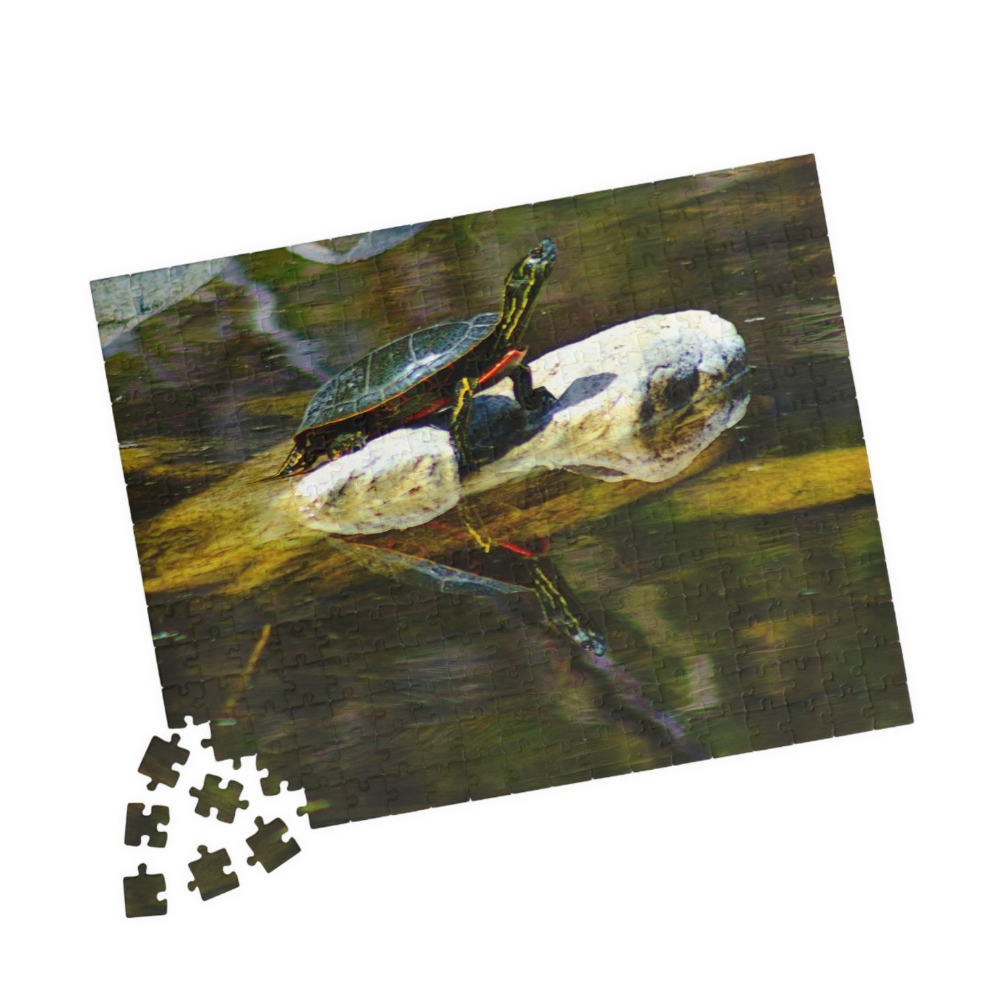 Turtle - Puzzle