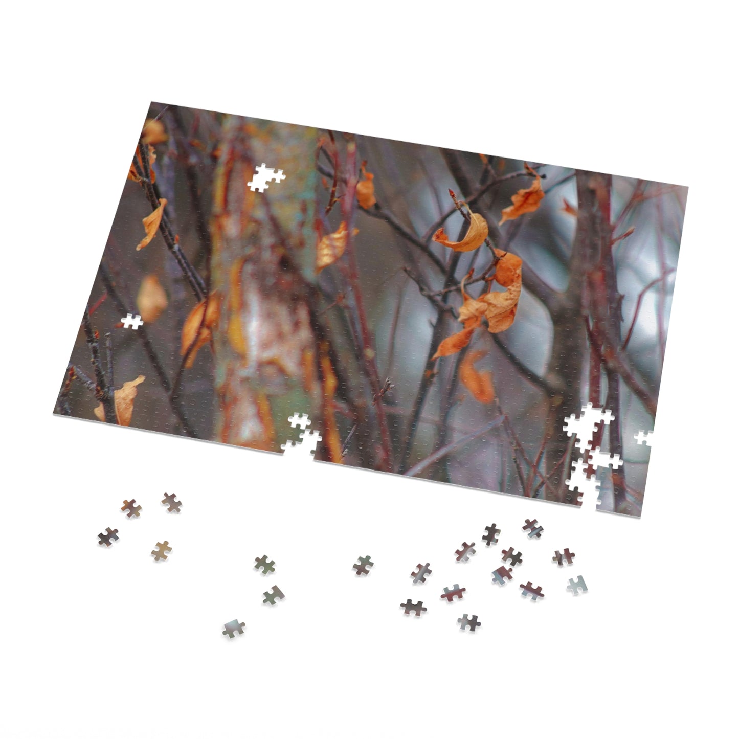 Floating Leaves - Puzzle