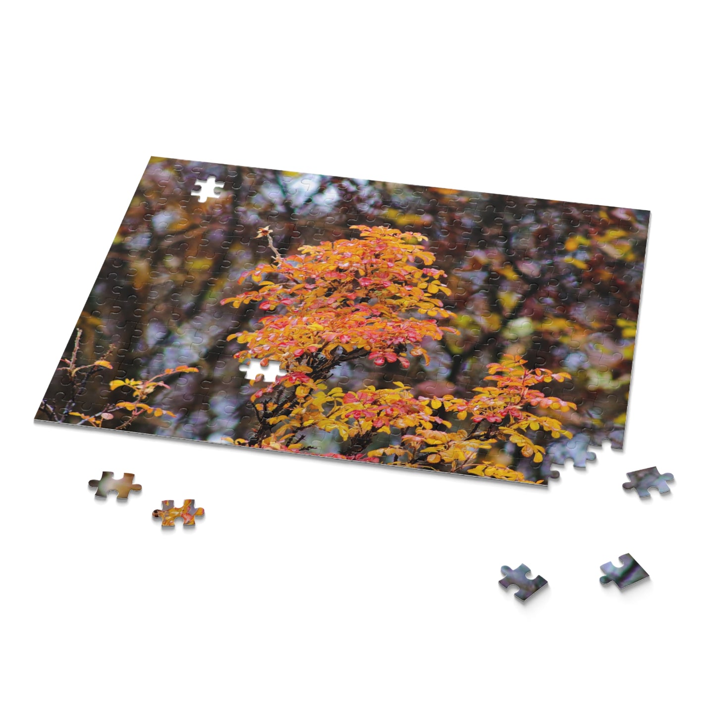 Fall Colors - Puzzle