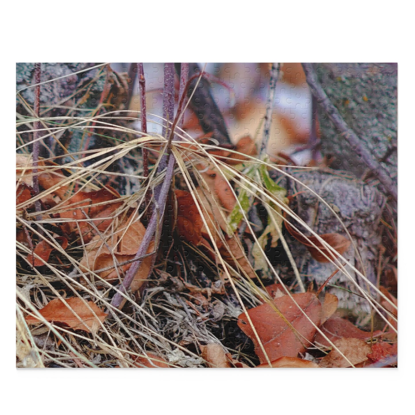 Forest Floor - Puzzle