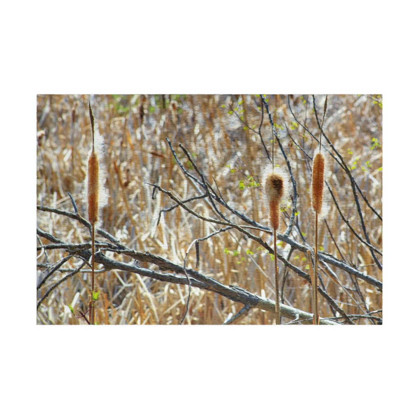 Wetlands - Puzzle