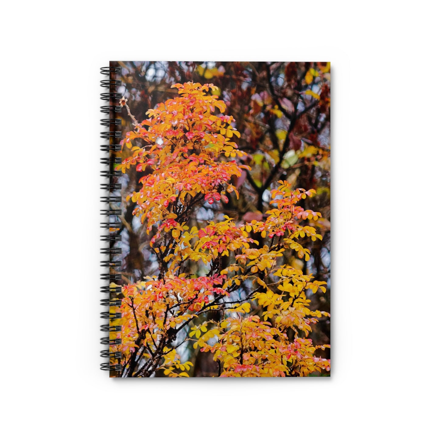 Fall Colors - Spiral Notebook