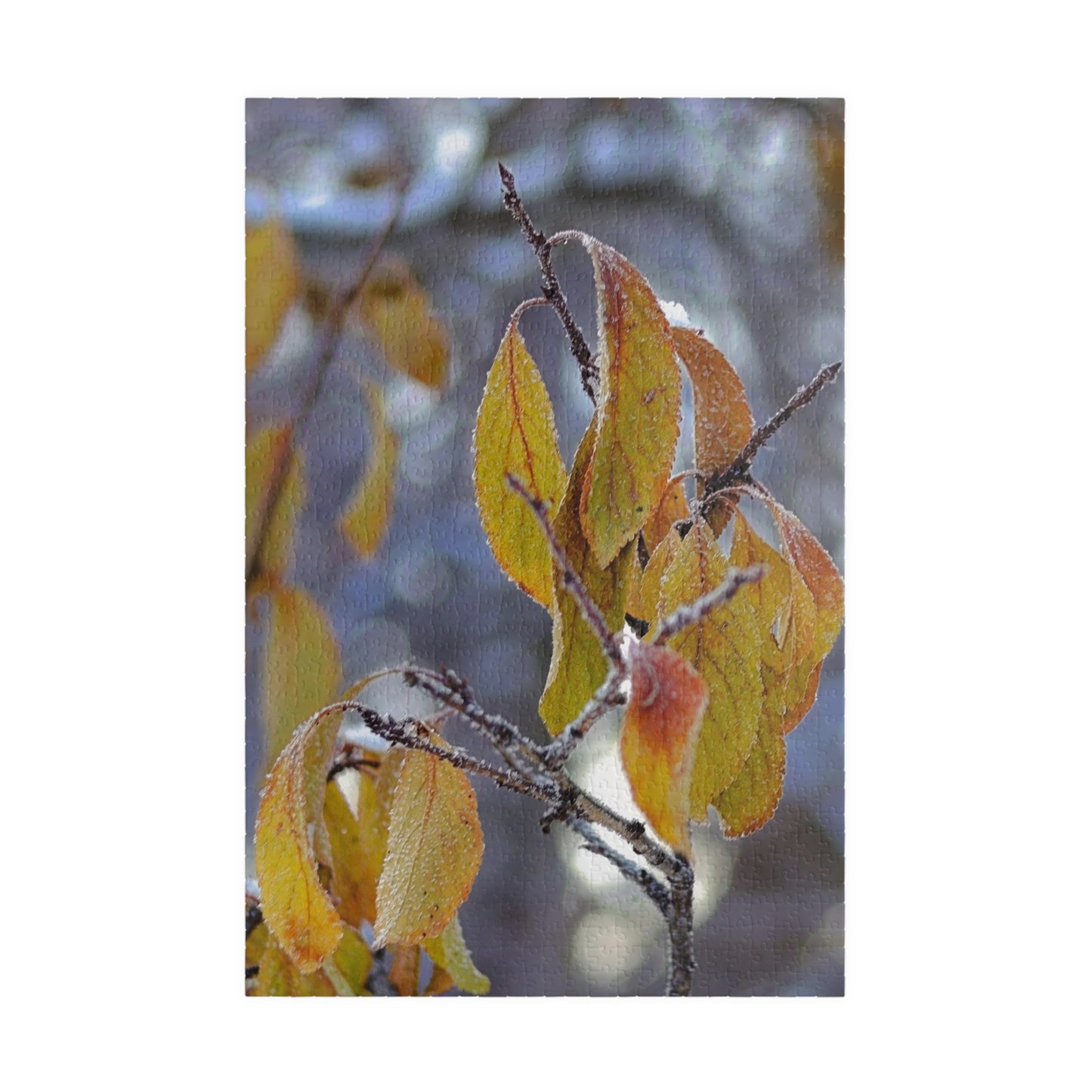 Frost On Fall Leaves - Puzzle