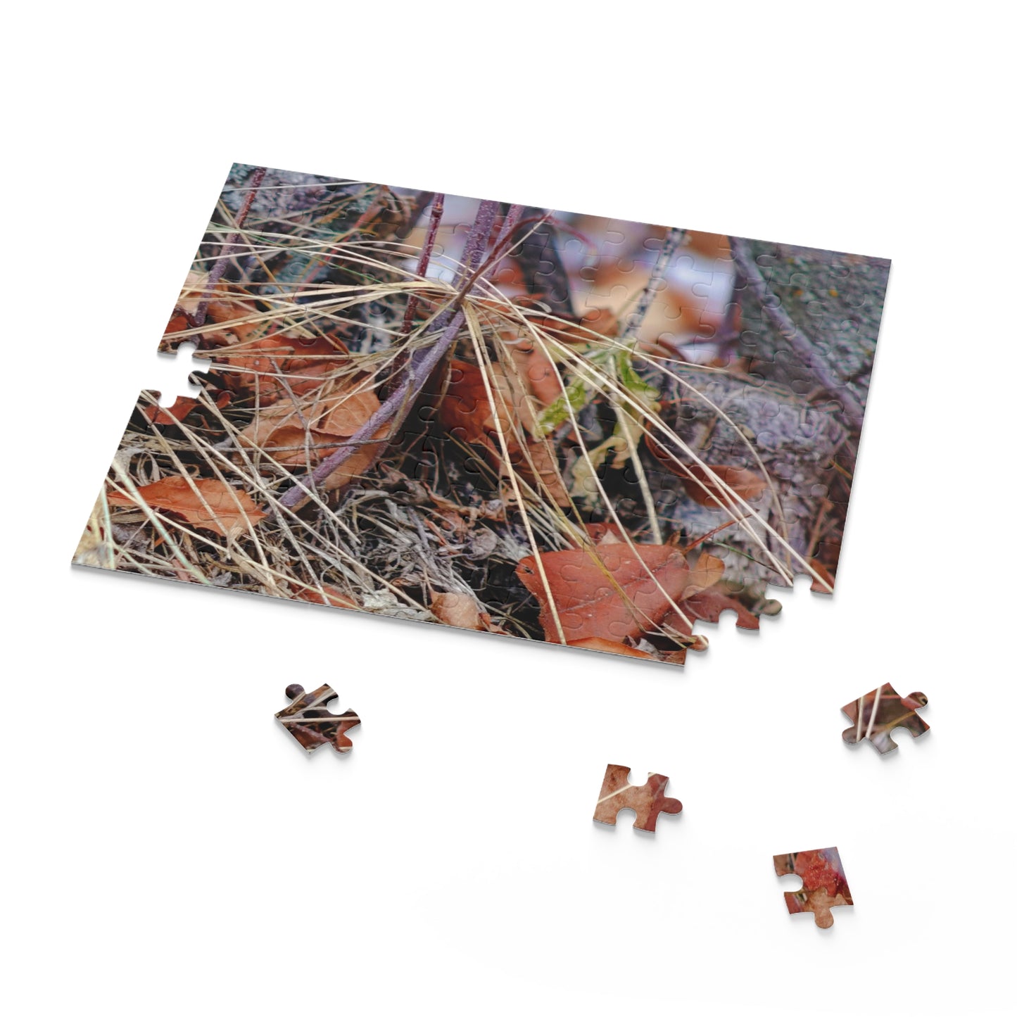 Forest Floor - Puzzle