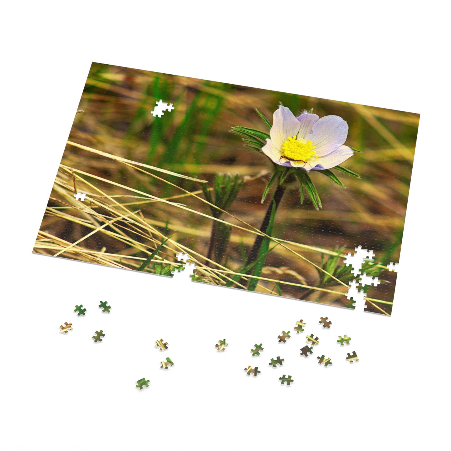 Spider On Flower - Puzzle