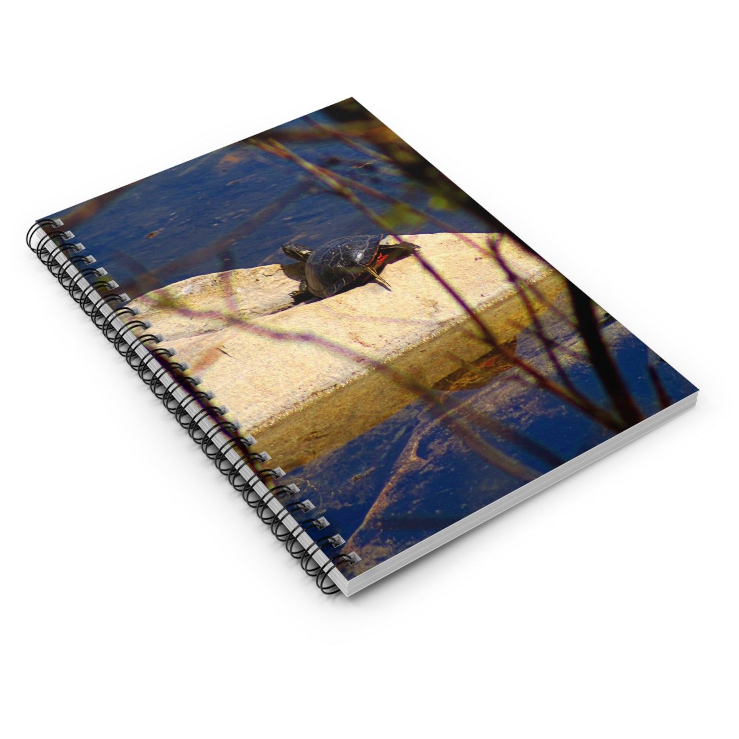 Turtle - Spiral Notebook