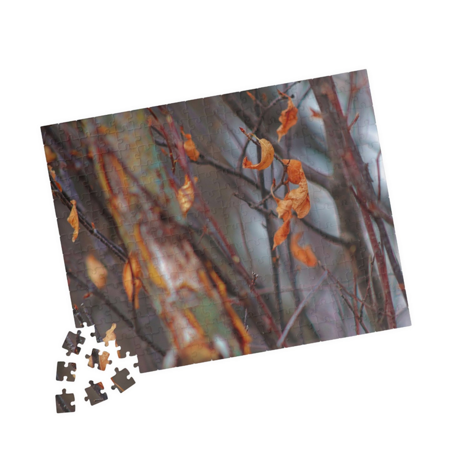 Floating Leaves - Puzzle