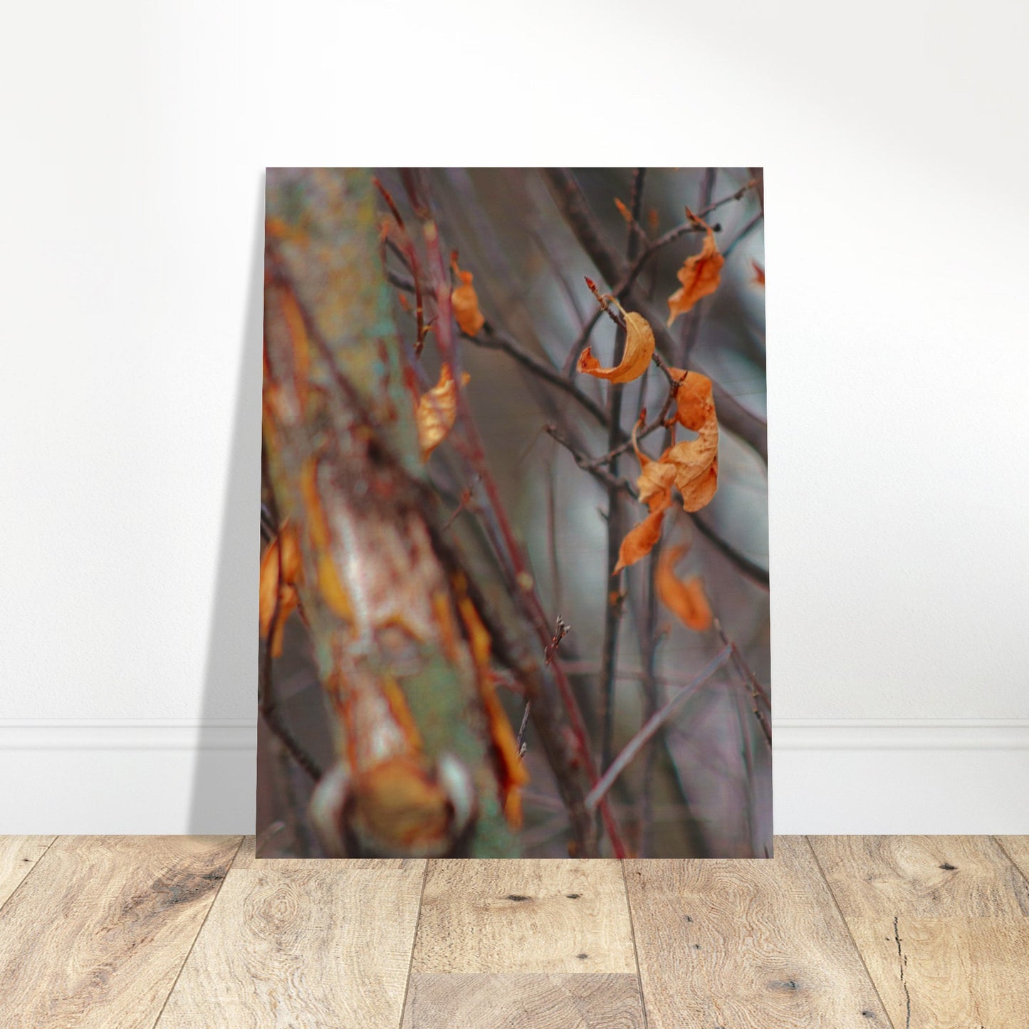 Floating Leaves - Wood Prints