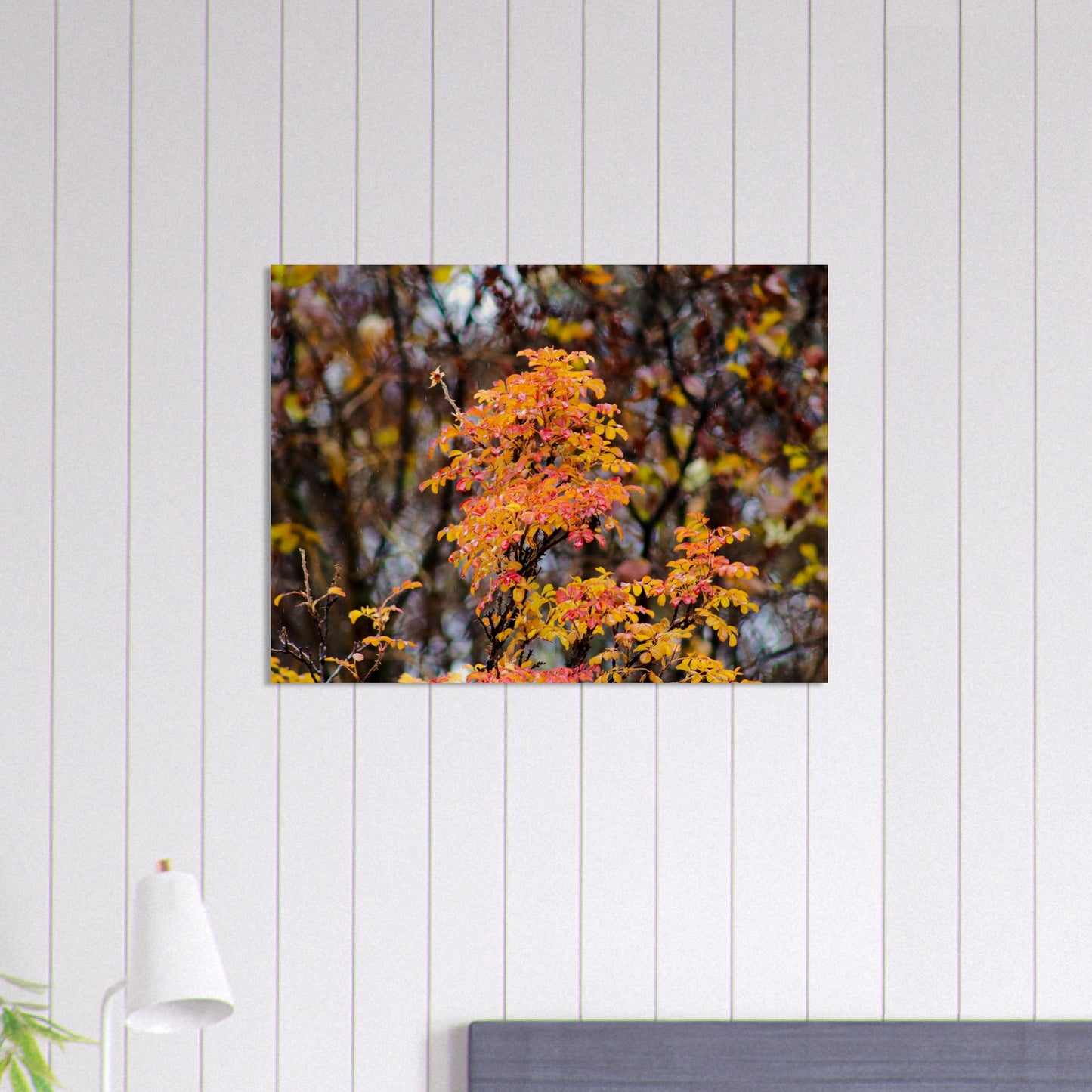 Fall Colors - Wood Prints