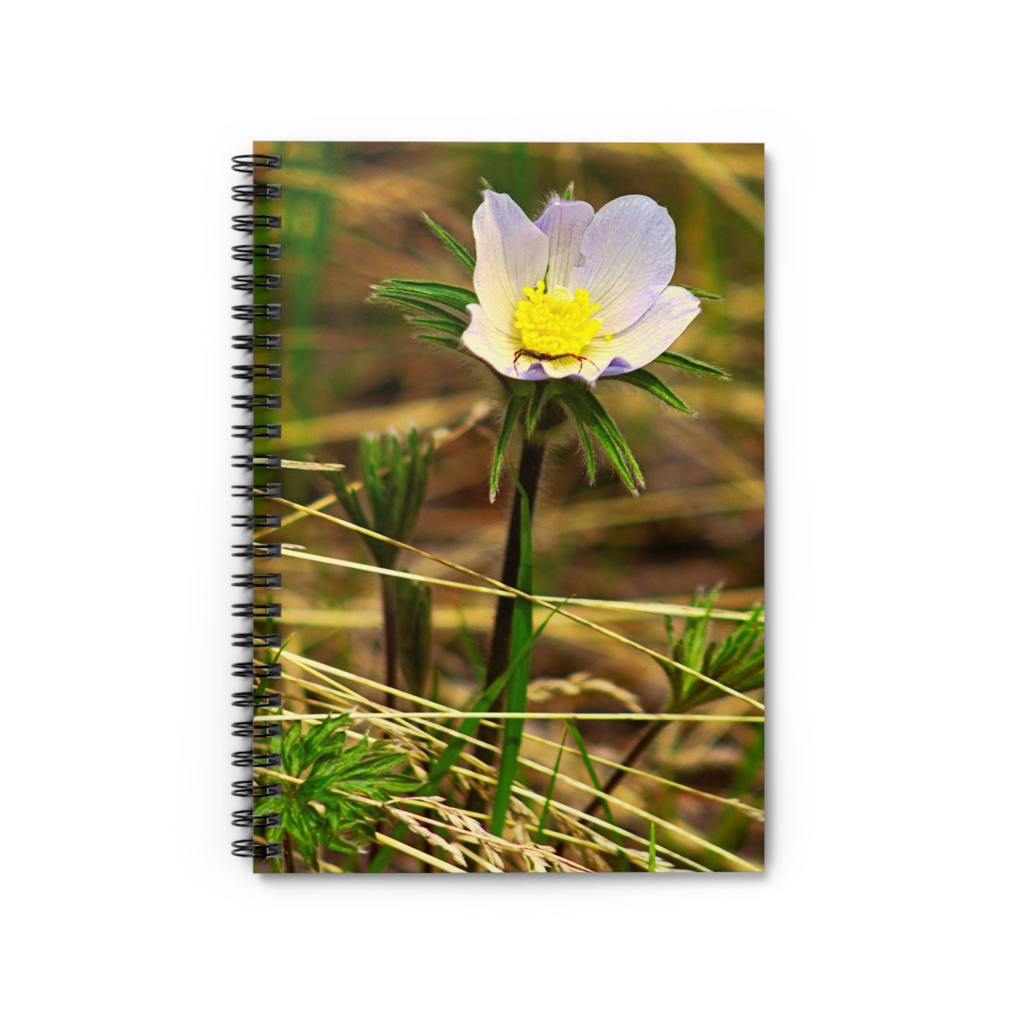 Spider On Flower - Spiral Notebook