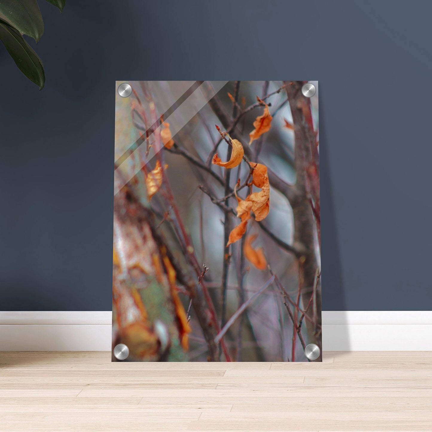 Floating Leaves - Acrylic Print