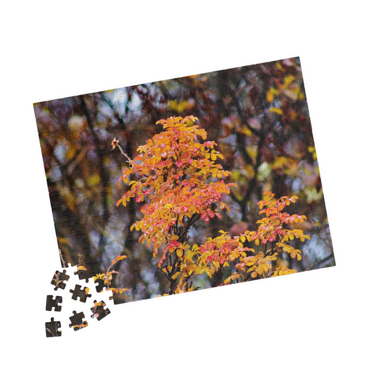 Fall Colors - Puzzle