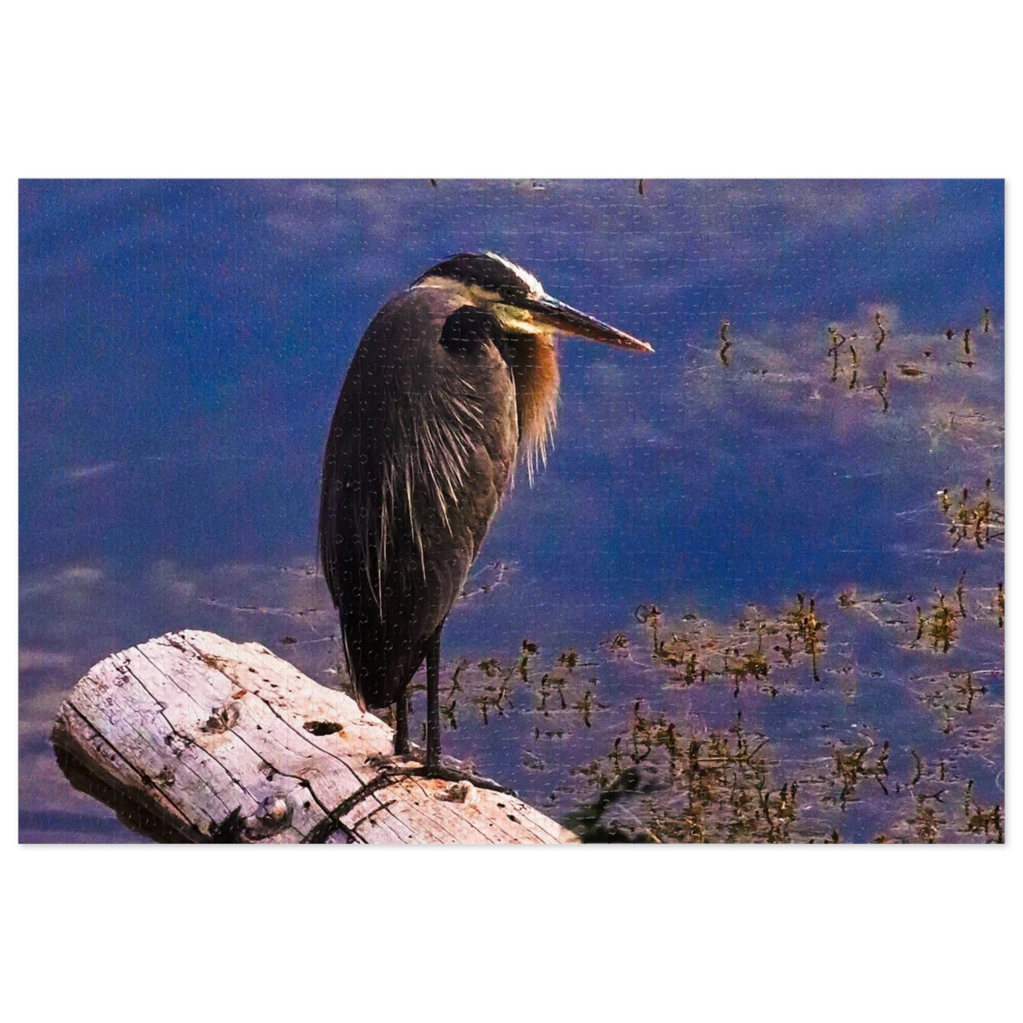 Heron - Puzzle