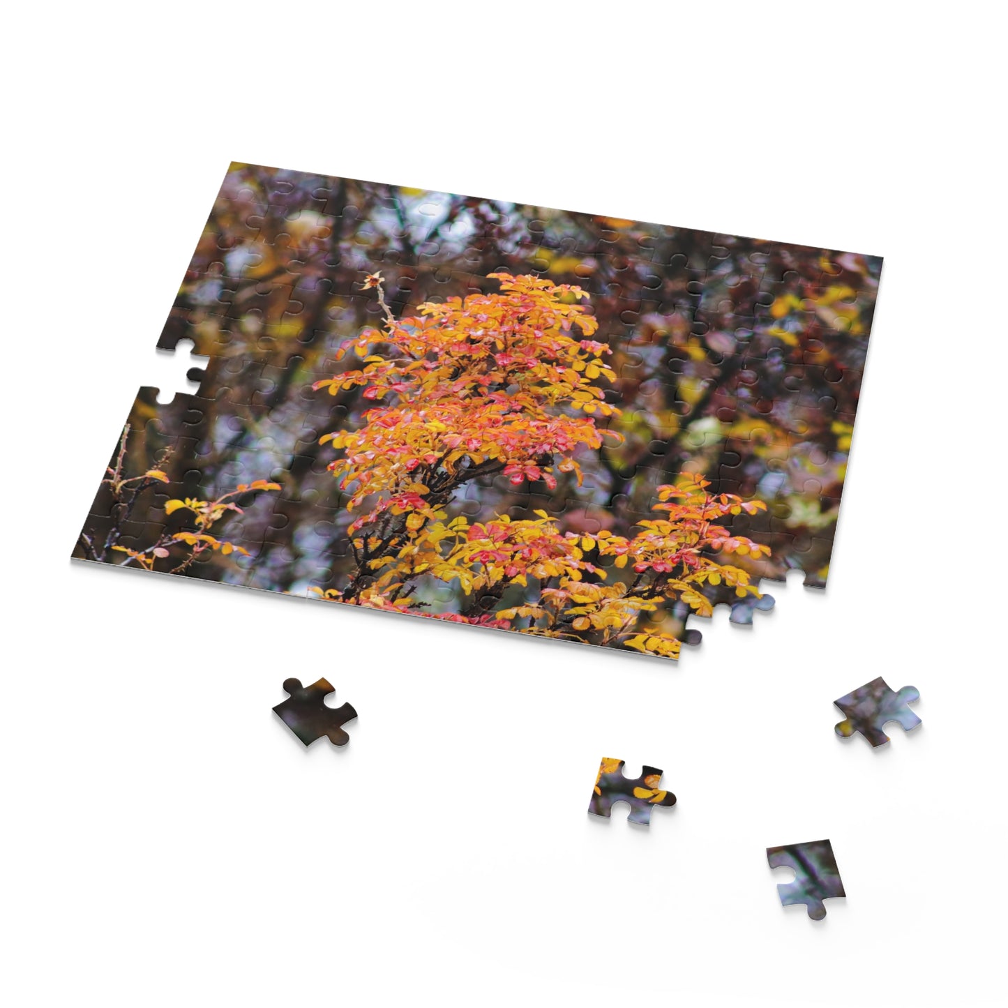 Fall Colors - Puzzle