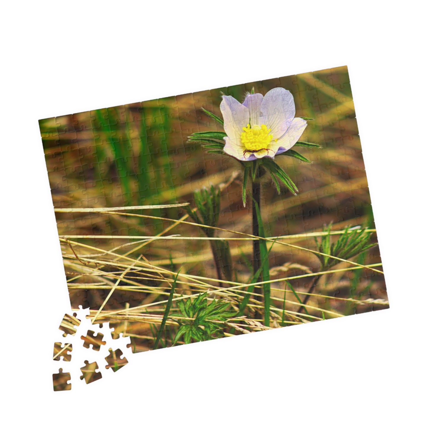 Spider on Flower - Puzzle