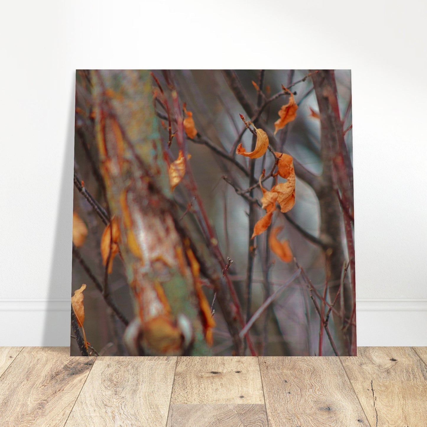 Floating Leaves - Wood Prints