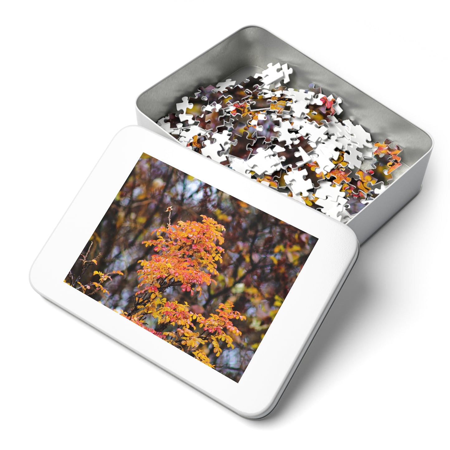 Fall Colors - Puzzle