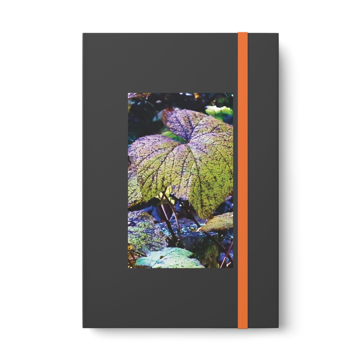 Changing Colors - Hardcover Notebook