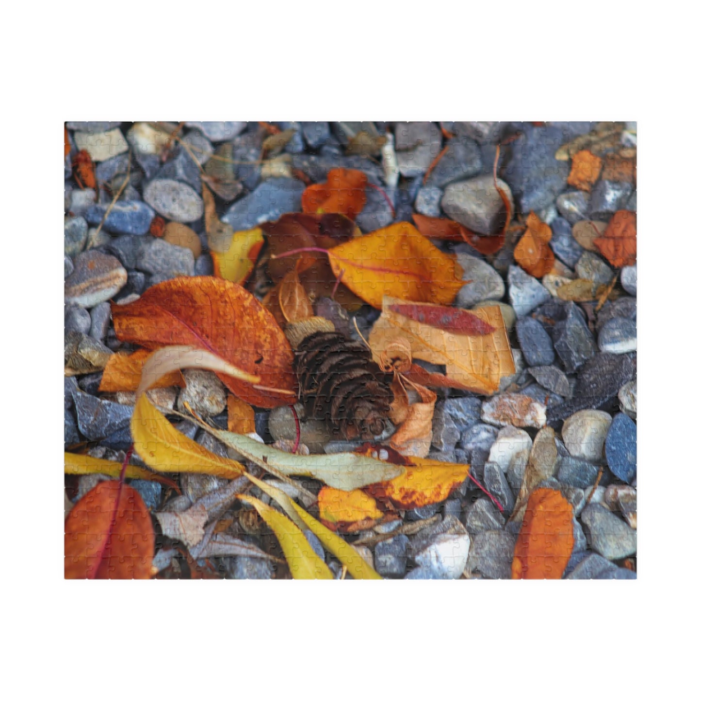 Leaves On Rocks - Puzzle