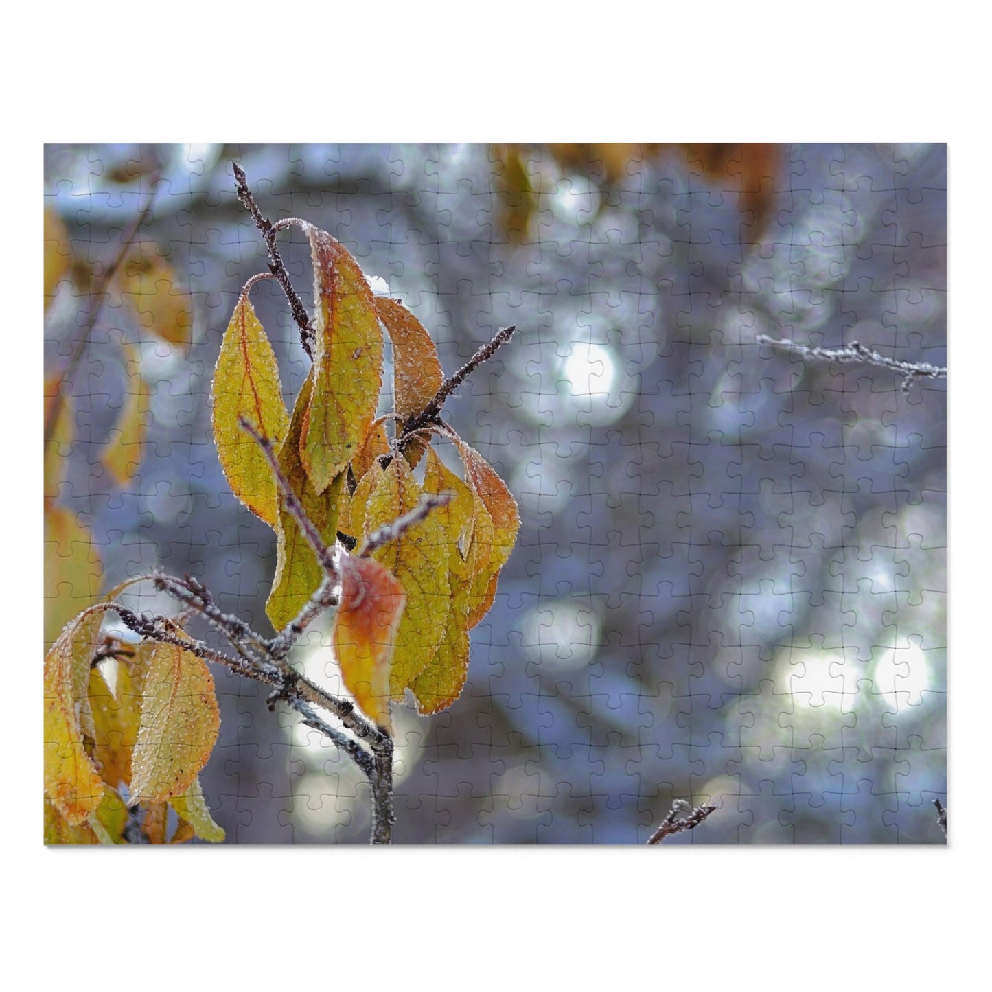 Frost On Fall Leaves - Puzzle