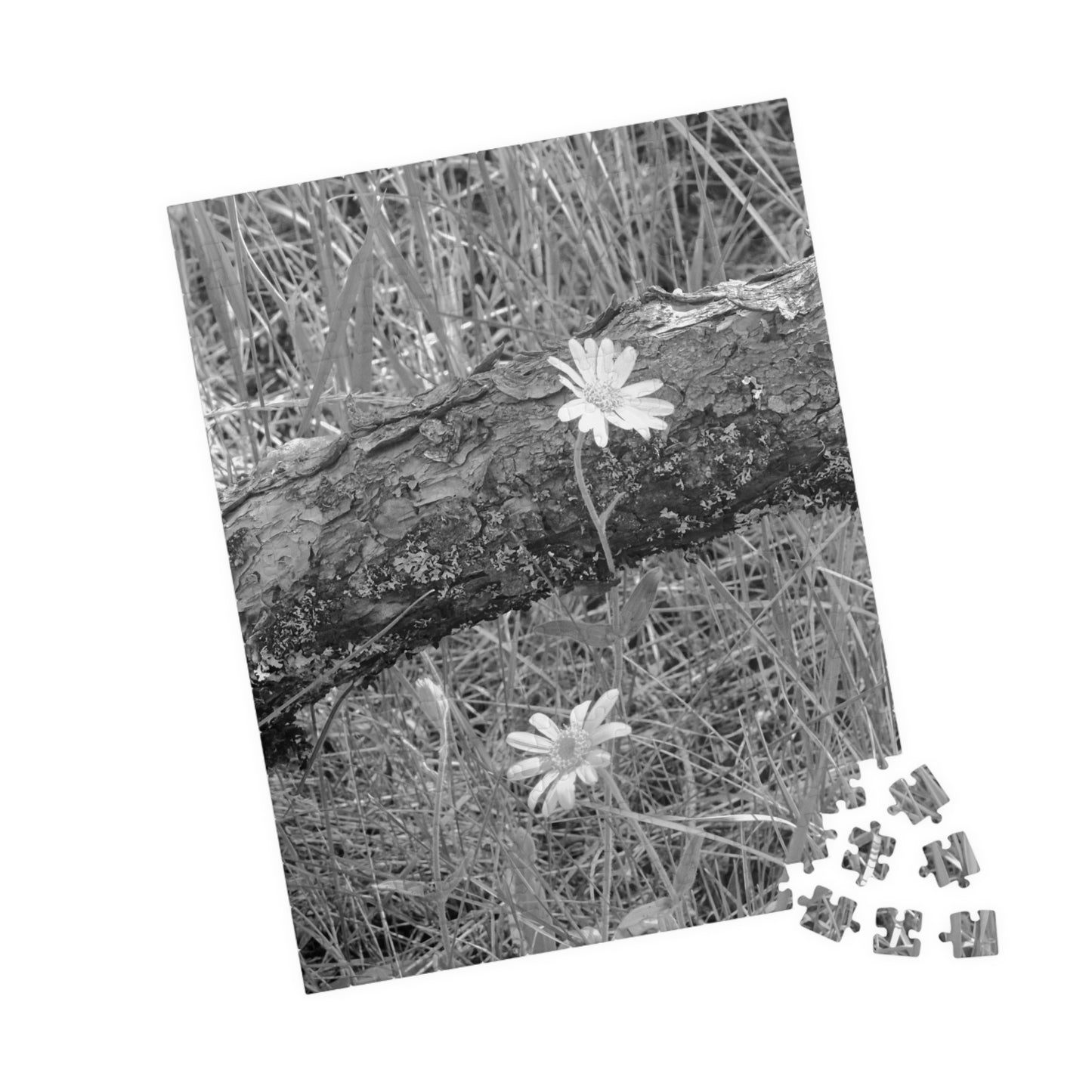 Wildflowers - Puzzle