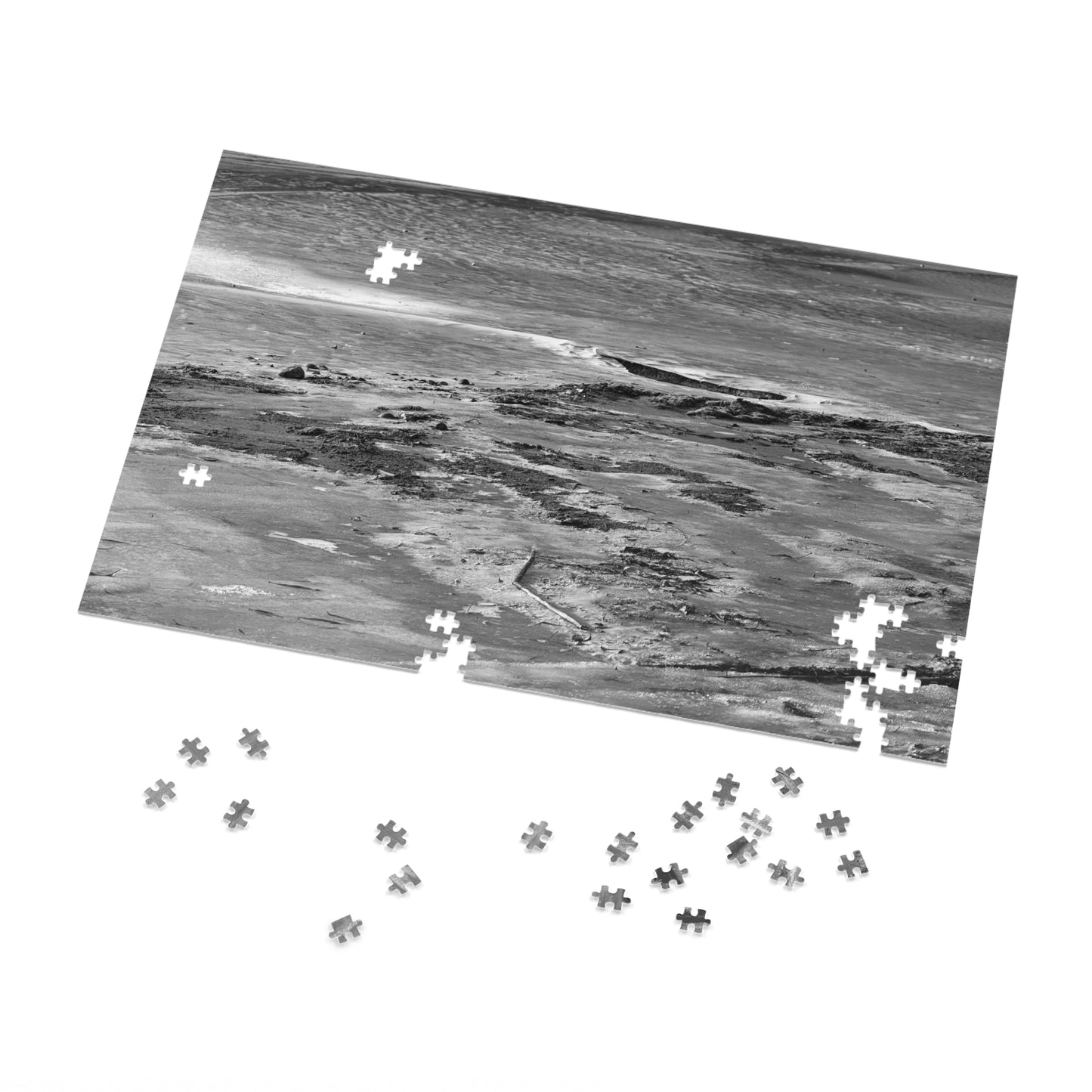 Winter Beach - Puzzle