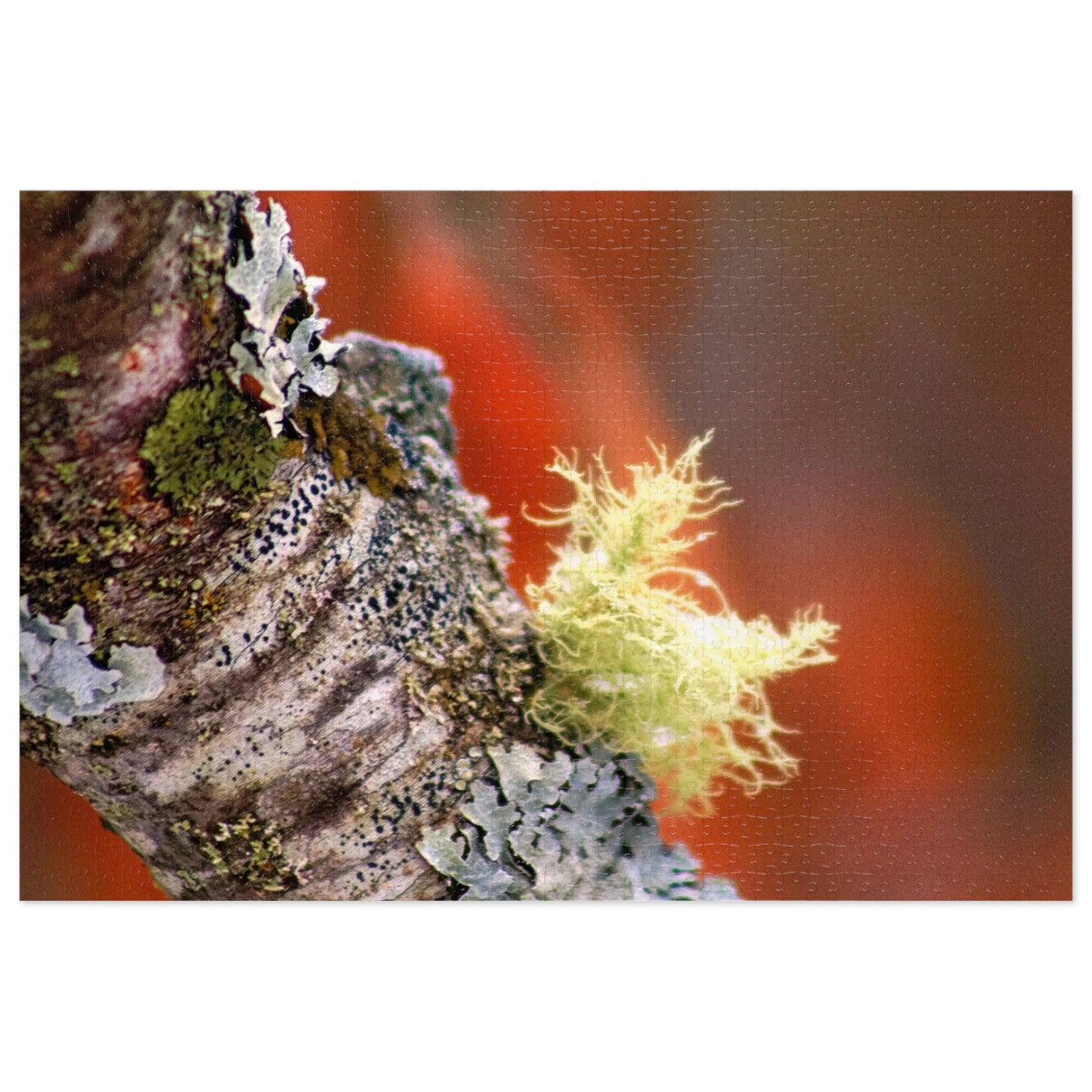 Moss On Branch - Puzzle