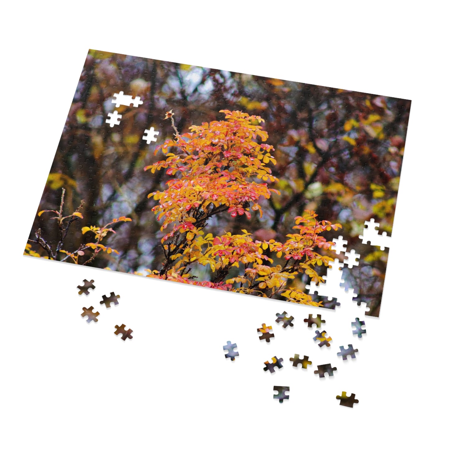 Fall Colors - Puzzle