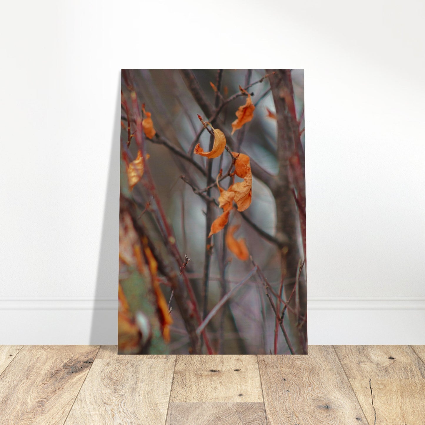 Floating Leaves - Wood Prints