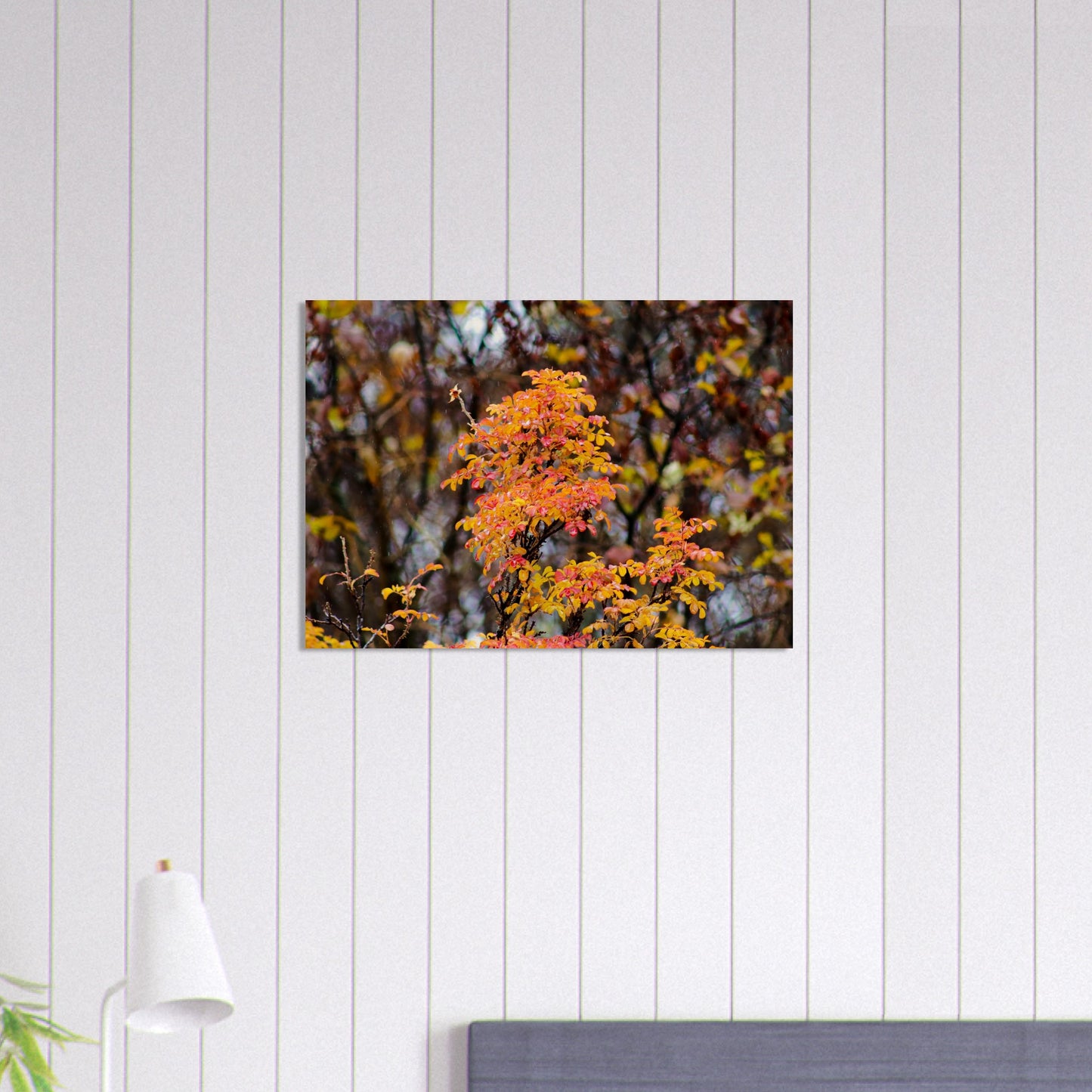 Fall Colors - Wood Prints