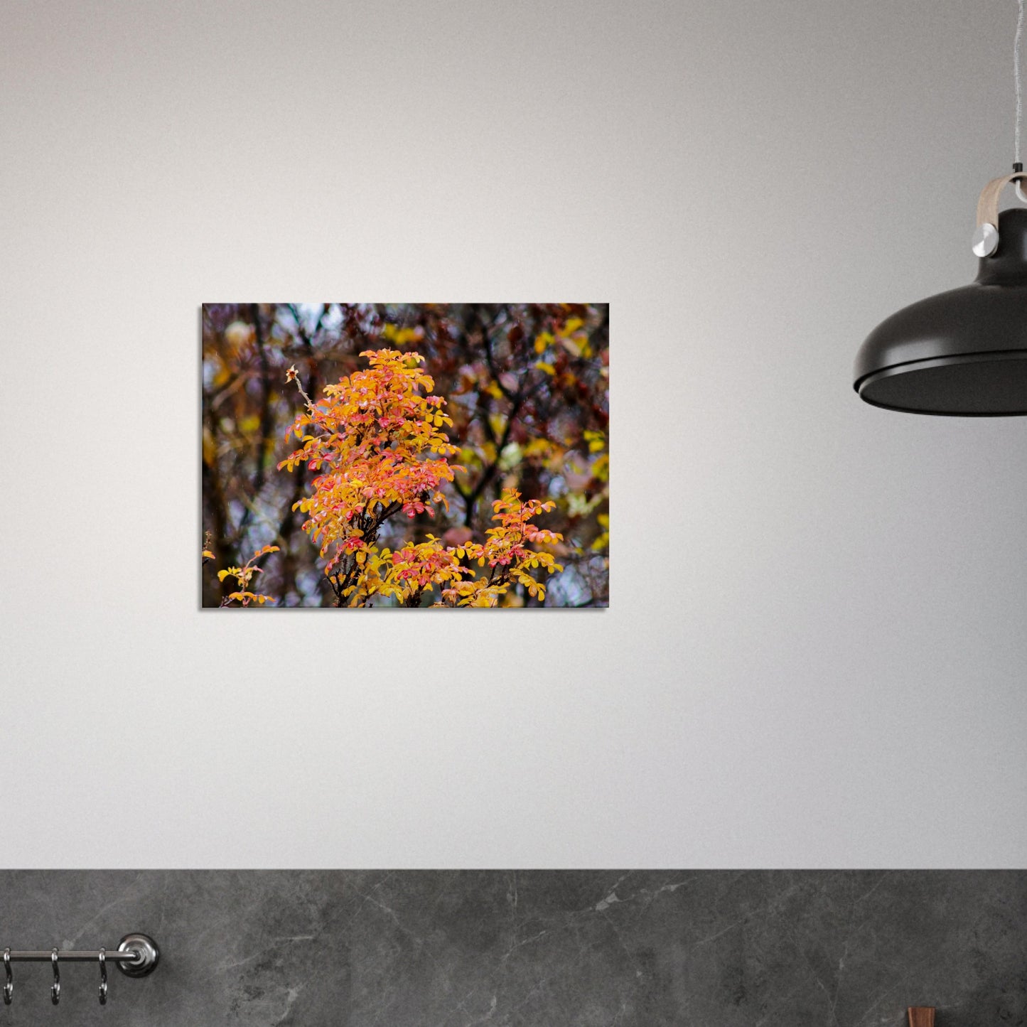 Fall Colors - Canvas