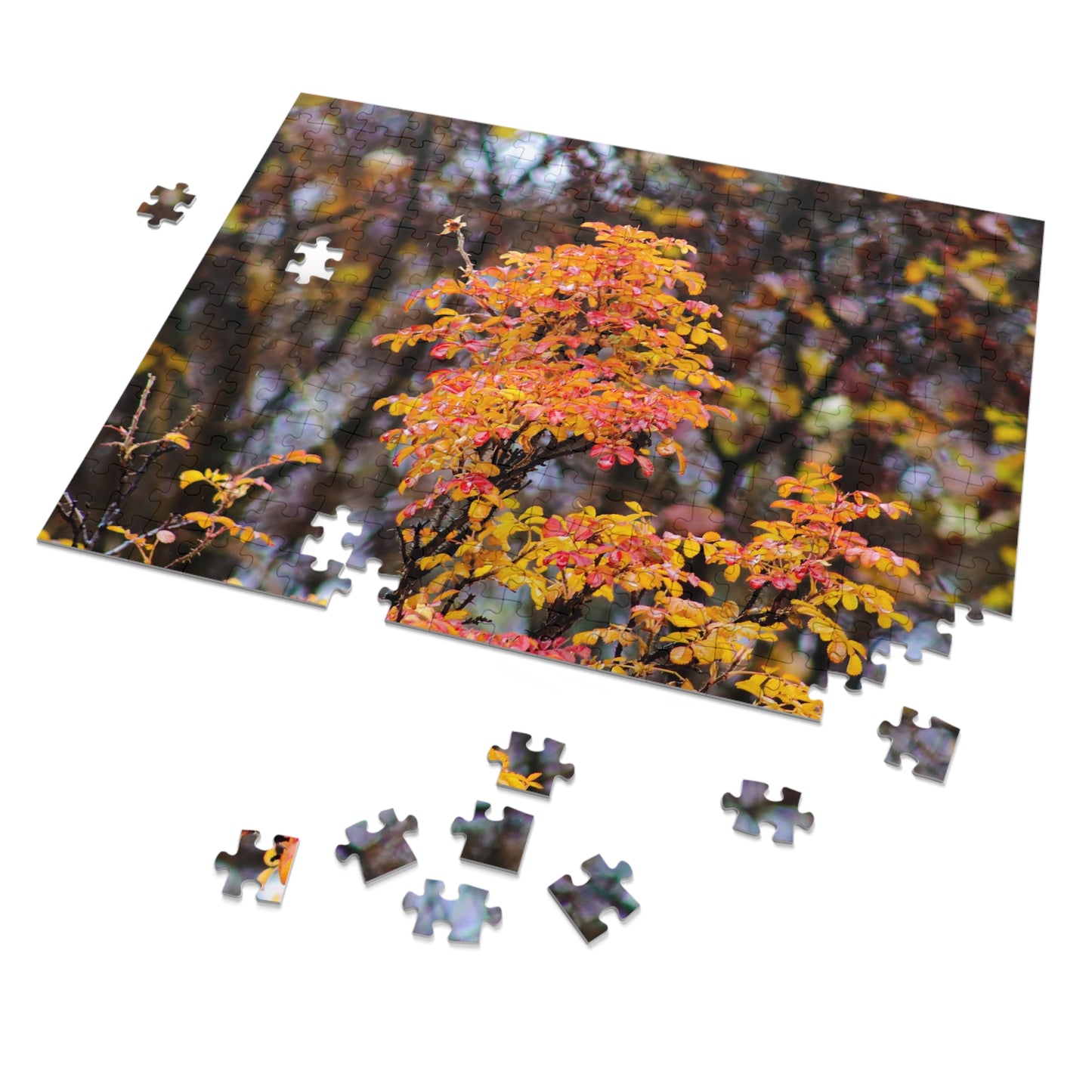 Fall Colors - Puzzle