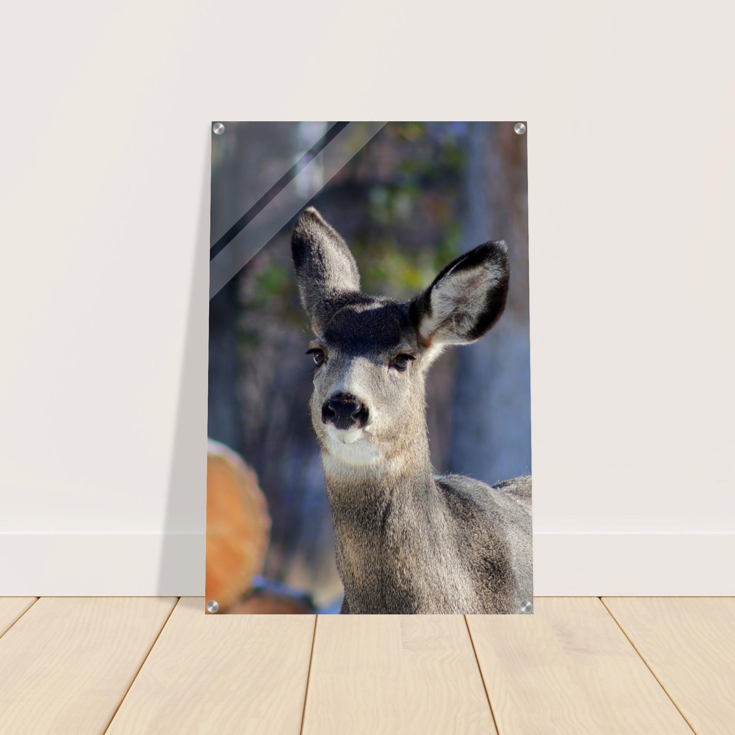 Deer - Acrylic Print